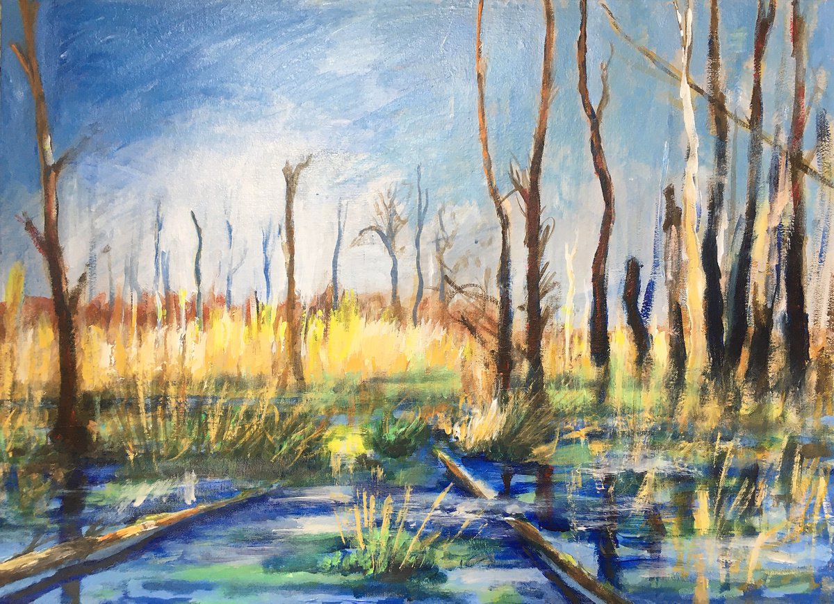 swamp landscape by Ren Goorman