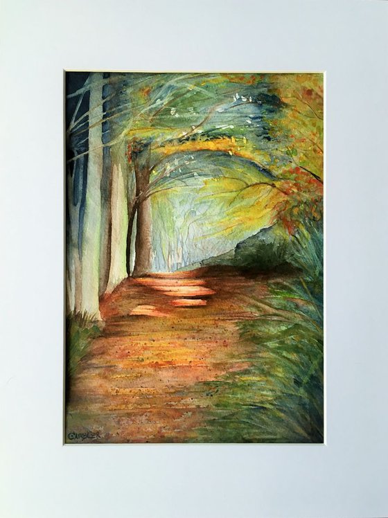 Autumn Woodland Walk - Framed Watercolour