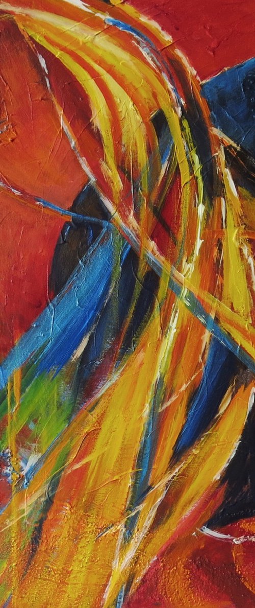 Contours and Curves by Maureen Greenwood