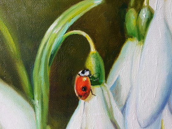 "Guest."  flower snowdrops ladybug  liGHt original painting  GIFT (2020)