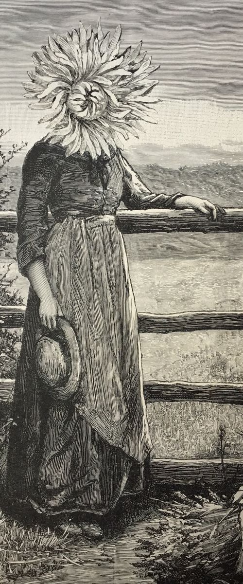 Country Girl by Tudor Evans