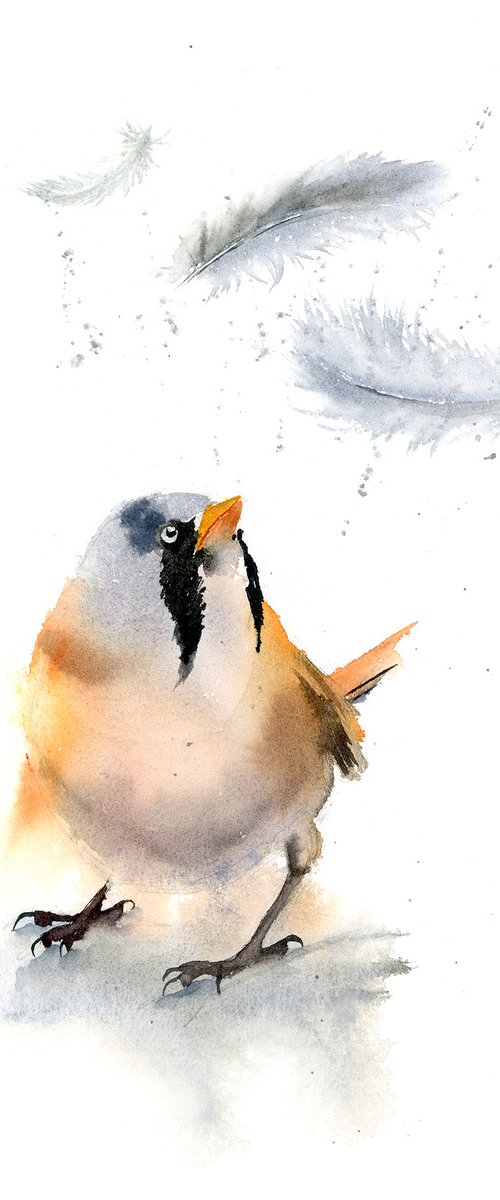 Bird and feather ( 1 of 3) -  Original Watercolor Painting by Olga Tchefranov (Shefranov)