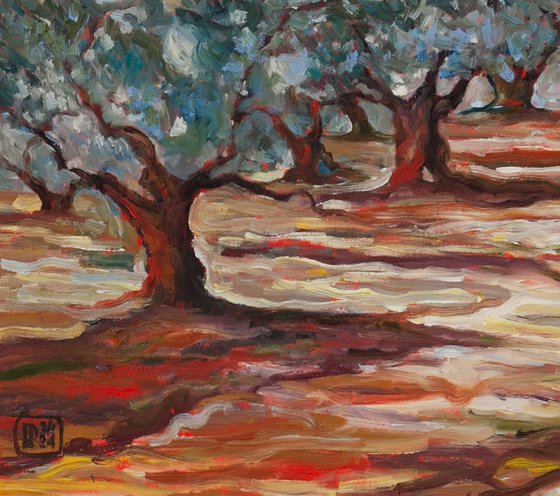 Olive Grove