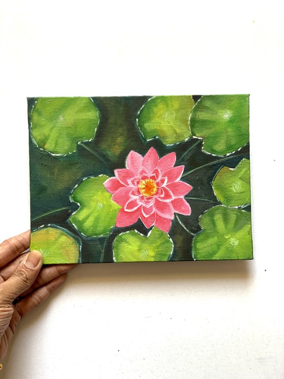 Pink water lily! Small Oil painting !