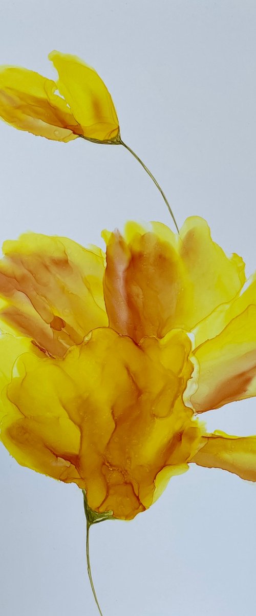 YELLOW ORANGE FLOWER , ABSTRACTION - alcohol ink, plastic paper by Svetlana Martin