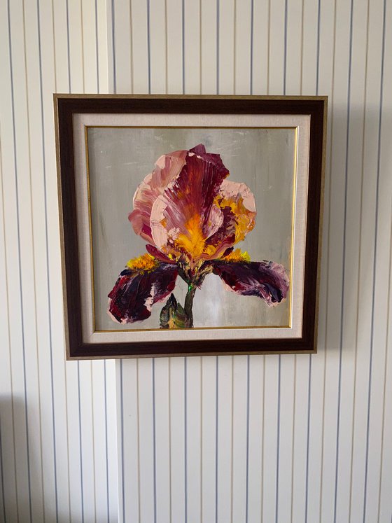 Iris in maroon original painting on canvas acrylic flowers