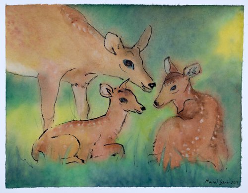 Deer by Marcel Garbi