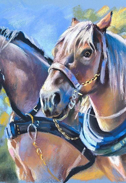 Portrait of draft horses by Magdalena Palega