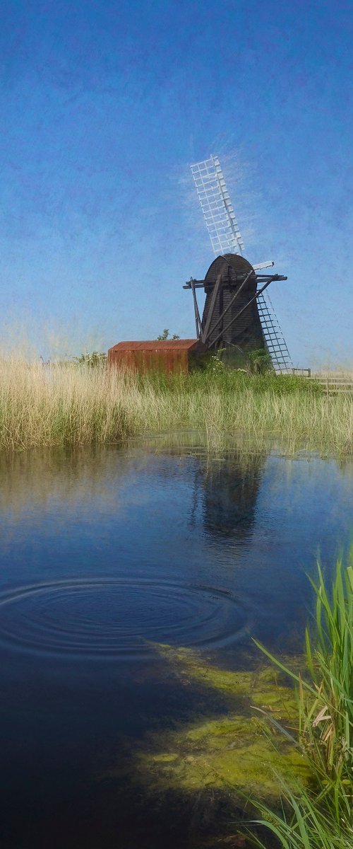 Herringfleet Windmill by Martin  Fry