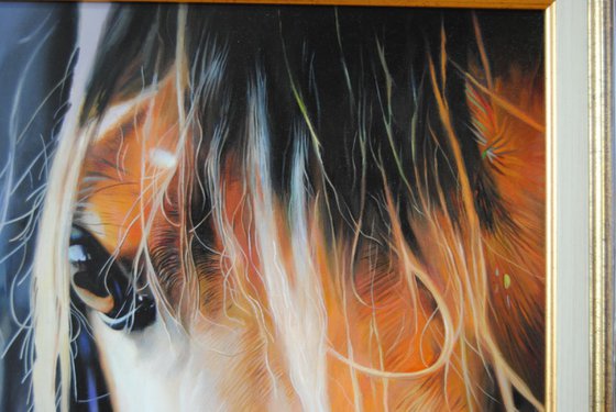 Custom artwork for Adnan, Horse painting, Animal painting, Horse portrait
