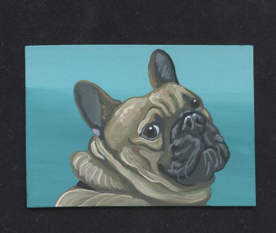 ACEO ATC Original Miniature Painting French Bulldog Pet Dog Art-Carla Smale