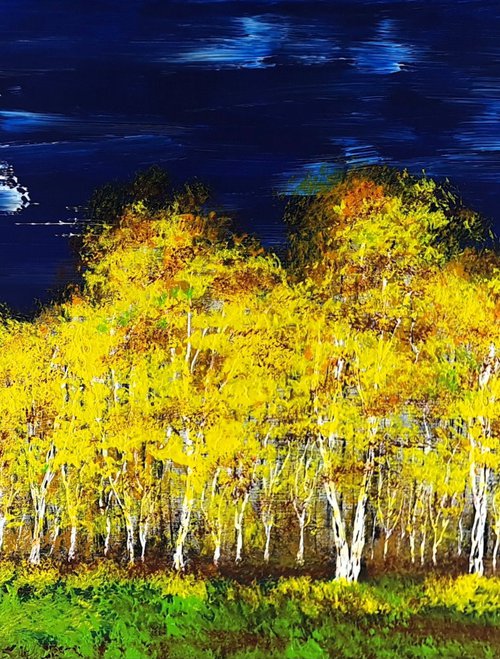 Autumn birch forest by Daniel Urbaník