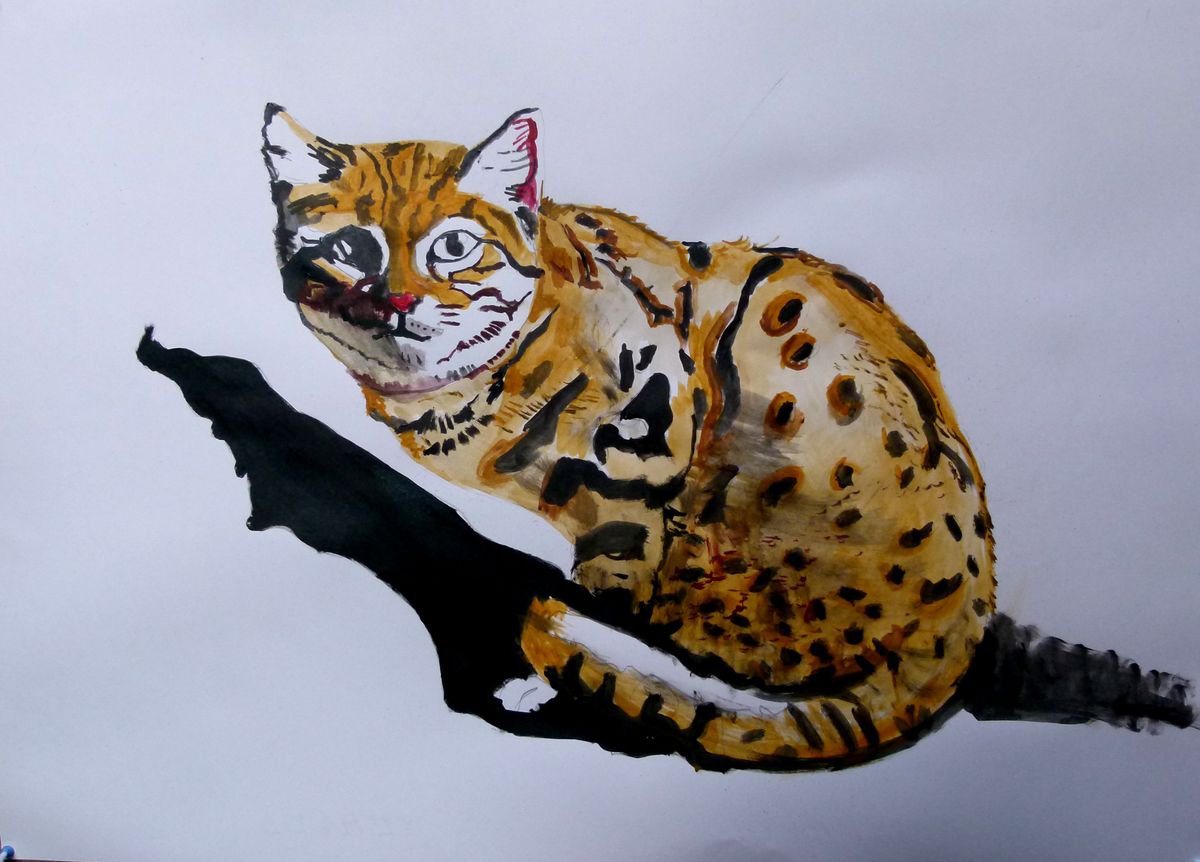 Wild cat by Soso Kumsiashvili