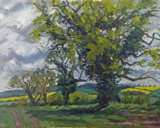 Stormy Spring landscape