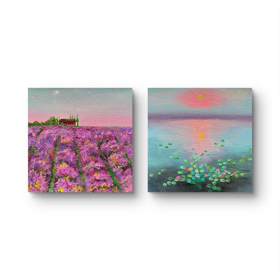 Lavender Blush