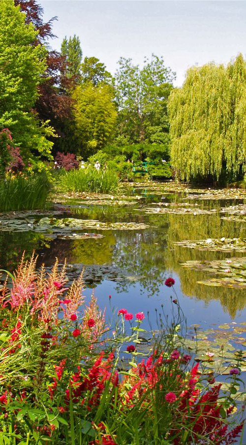 Le jardin d'eau en été by Alex Cassels