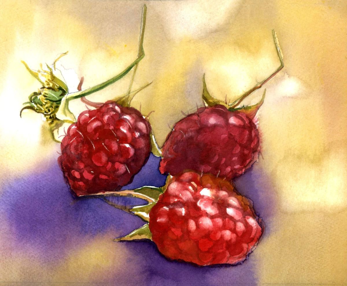 Wild Raspberry Watercolor by Alfred  Ng
