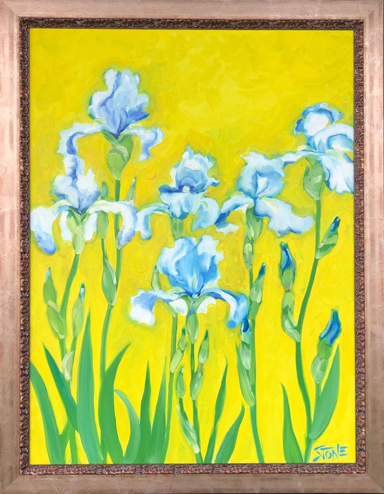 Six Blue Iris