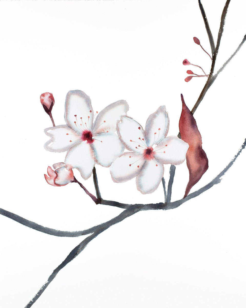 Cherry Blossom No. 27 by Elizabeth Becker