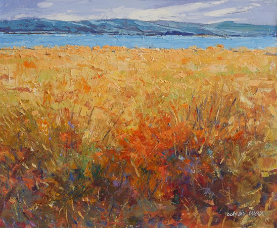 Landscape