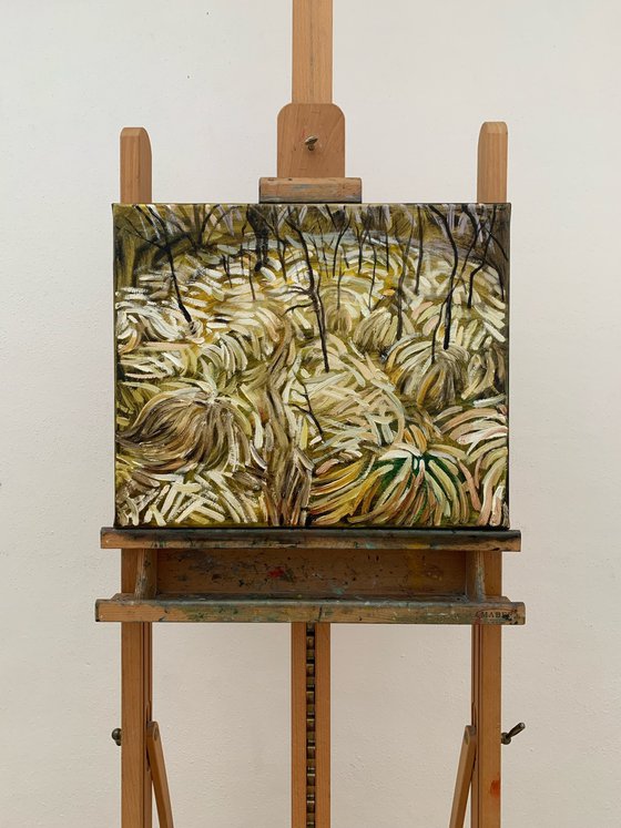 Dry Grasses