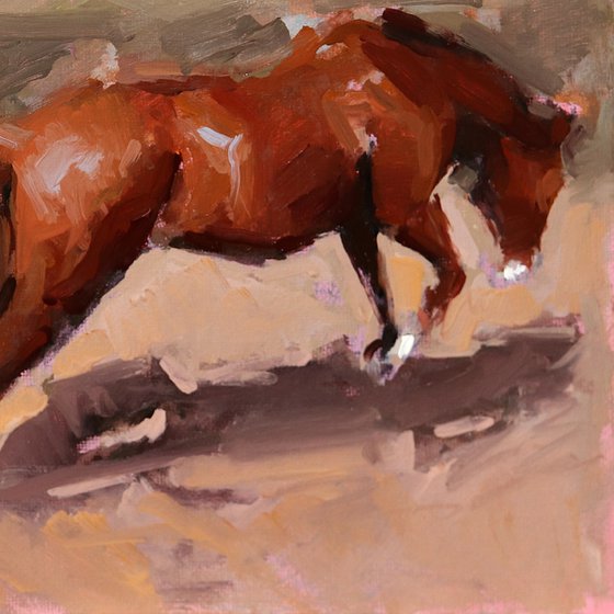 Toffee Horse Study