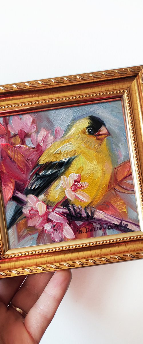 American goldfinch by Nataly Derevyanko