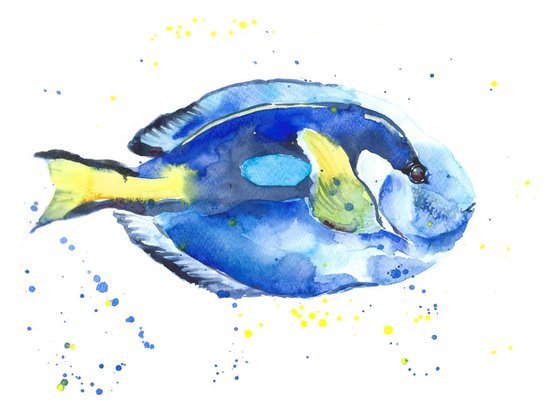 Set of 2 Hippo Pacific Blue tang fish, Angelfish Surgeonfish watercolor Tropical