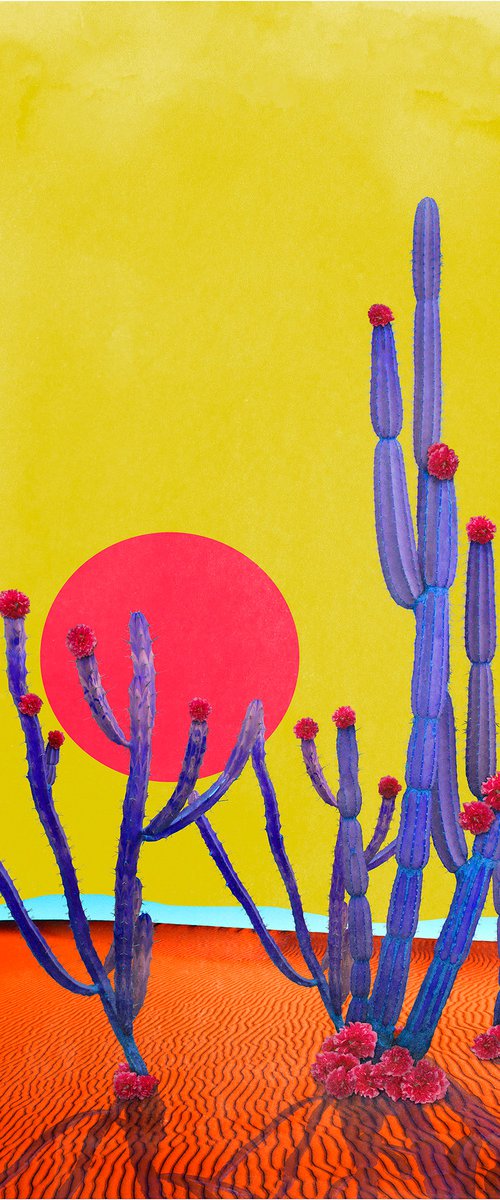 Cactus Sunset - Framed by Nadia Attura