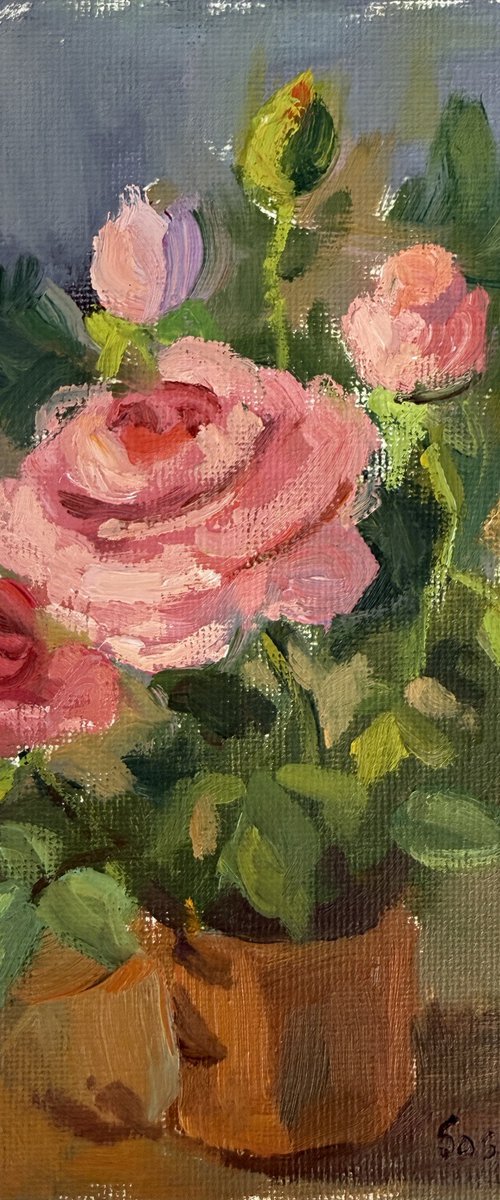 Roses, etude by Kate Sosonna