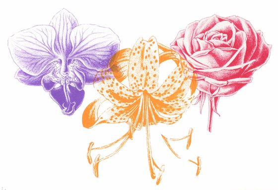 Orchid, Lily & Rose