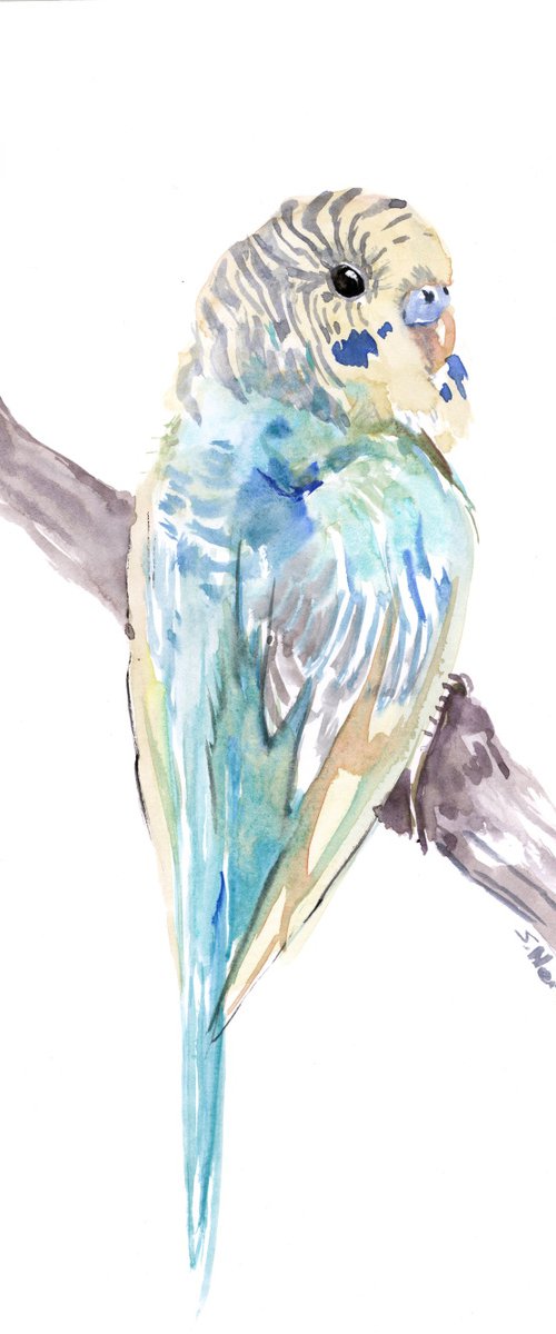 Budgie, Parakeet painting by Suren Nersisyan