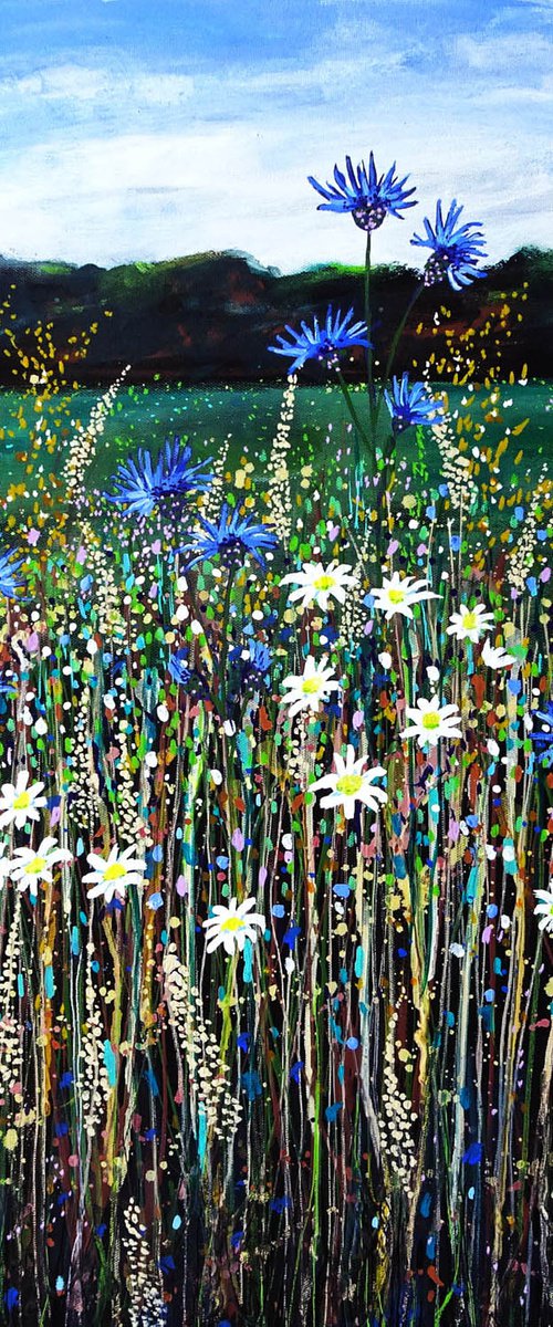 Wildflower Meadow  14 by Roz Edwards