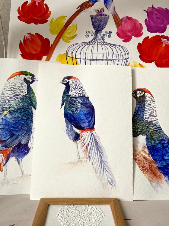 Set of three pheasant