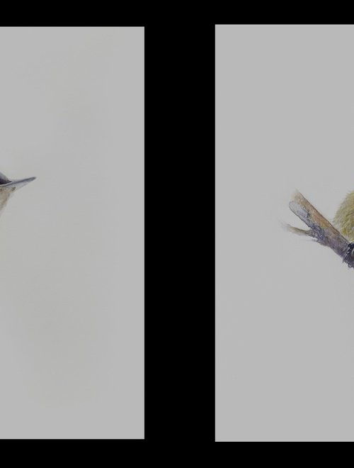 Nuthatch & Blue Tit (Set of 2) by Tetiana Savchenko