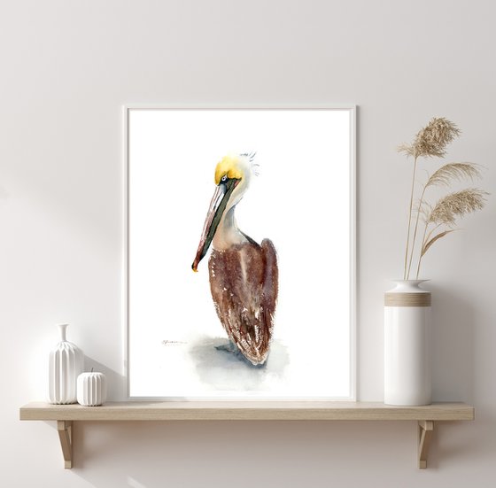 Brown Pelican (2 ) -  Original Watercolor Painting