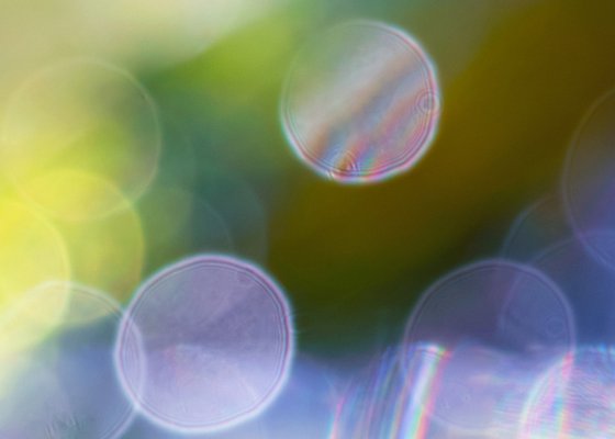 Shine - Studio Edition