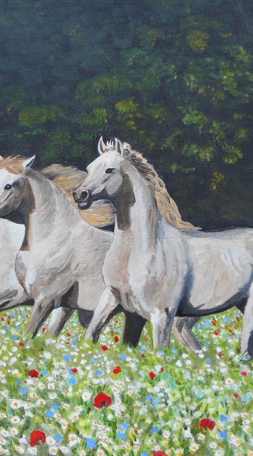 HORSES by Margaret Riordan