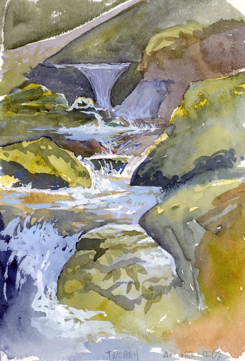 Upper Creek, Trout Stream by Catherine Twomey