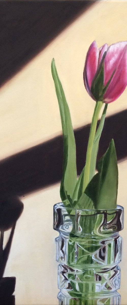 Pink Tulip in a vase by Ira Whittaker