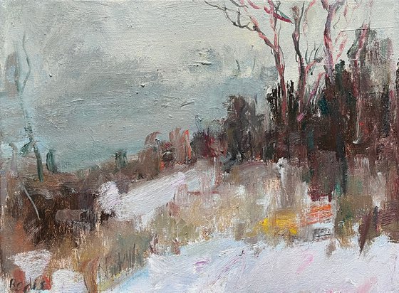 Snowfall