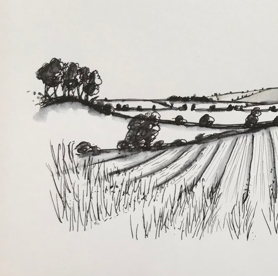 English Landscape, Norfolk- trees hedges and fields.