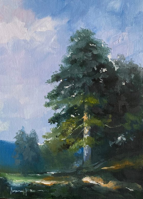 Pine Glow