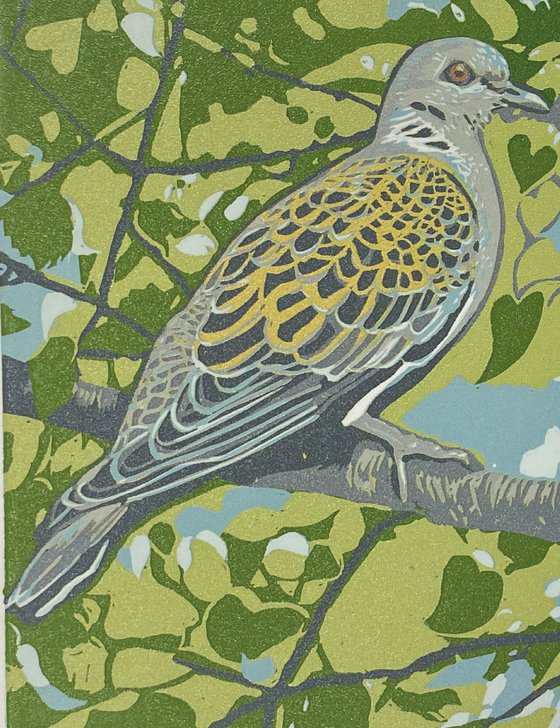 Turtle Doves