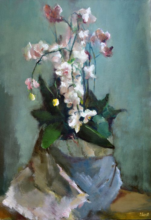 White orchid by Elena Lukina