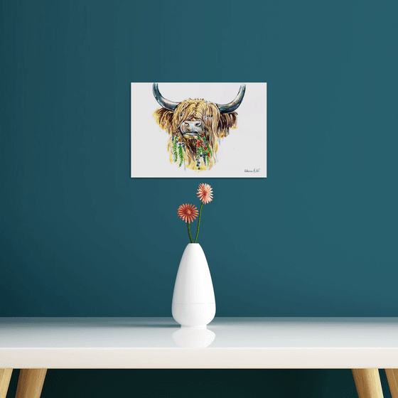 Highland Moo Cow in Spring Flowers