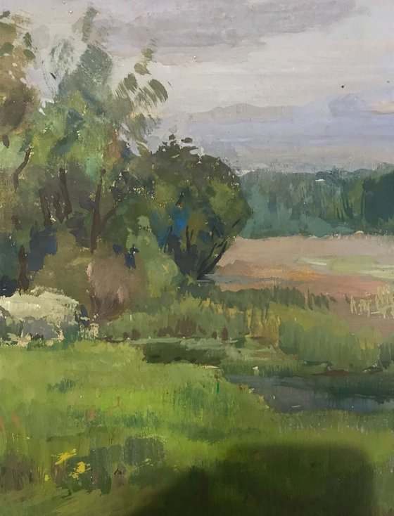 Spring landscape