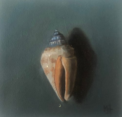 Shell by Marybeth Hucker