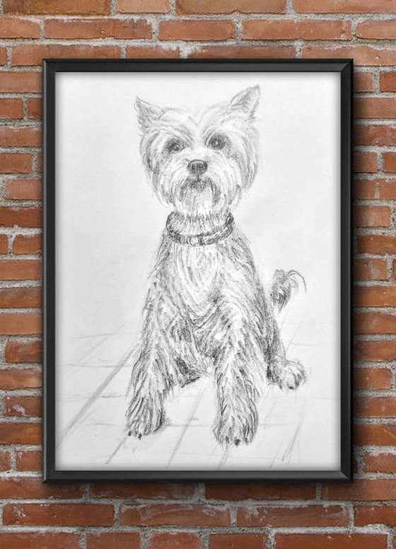 Set of three cute dogs