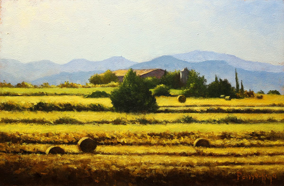Harvest times by Vicent Penya-Roja